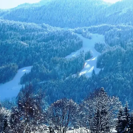 Grainauer Hof 3* Grainau